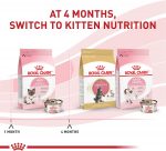 Royal Canin Feline Health Nutrition - Image 2