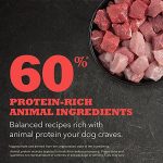 ACANA® Red Meat Recipe, Grain-free Dry Dog Food, Beef, 4.5 lb - Image 3