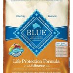 Blue Buffalo Life Protection Chicken & Brown Rice Recipe Large Breed Senior Dry Dog Food Yow Pets