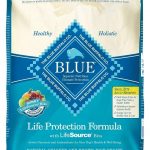 Blue Buffalo Life Protection Natural Small Bites Chicken & Brown Rice Recipe Adult Dry Dog Food Yow Pets