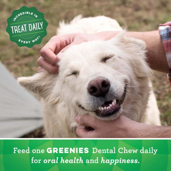 Greenies Large Original Dental Dog Chews - Image 4