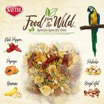 Kaytee Food from The Wild Natural Pet Macaw Bird Food, 2.5 Pound - Image 5