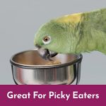 Kaytee Nutri Soft Pet Parrot & Conure Bird Food, 3 Pound - Image 3