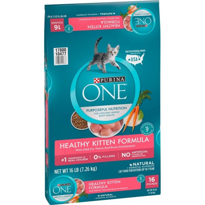 Purina ONE Kitten Growth & Development Dry Cat Food - Image 1