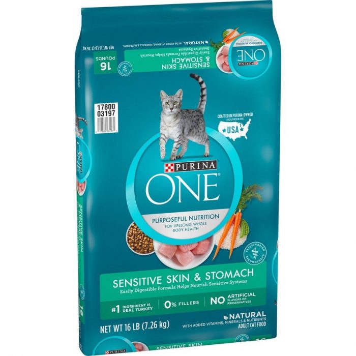 Purina ONE Sensitive Systems Dry Cat Food - Image 1