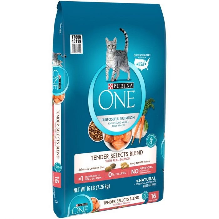 Purina ONE Tender Selects Blend Real Salmon Dry Cat Food - Image 1