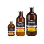 Pen-Aqueous [500 mL]